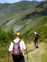 65-distantgrancolduferret