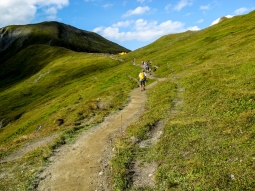 71-neargrancolduferret