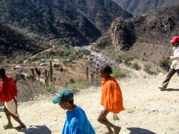 28-road2guadalupe-herbalisto