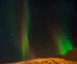 dsc02641-doubleplume