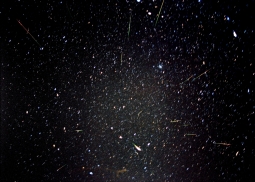 leonidscomposite-2001